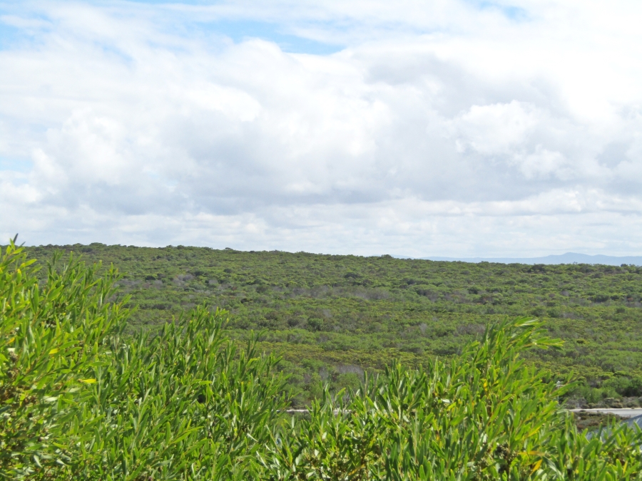 0 Bedroom Property for Sale in Struisbaai Western Cape